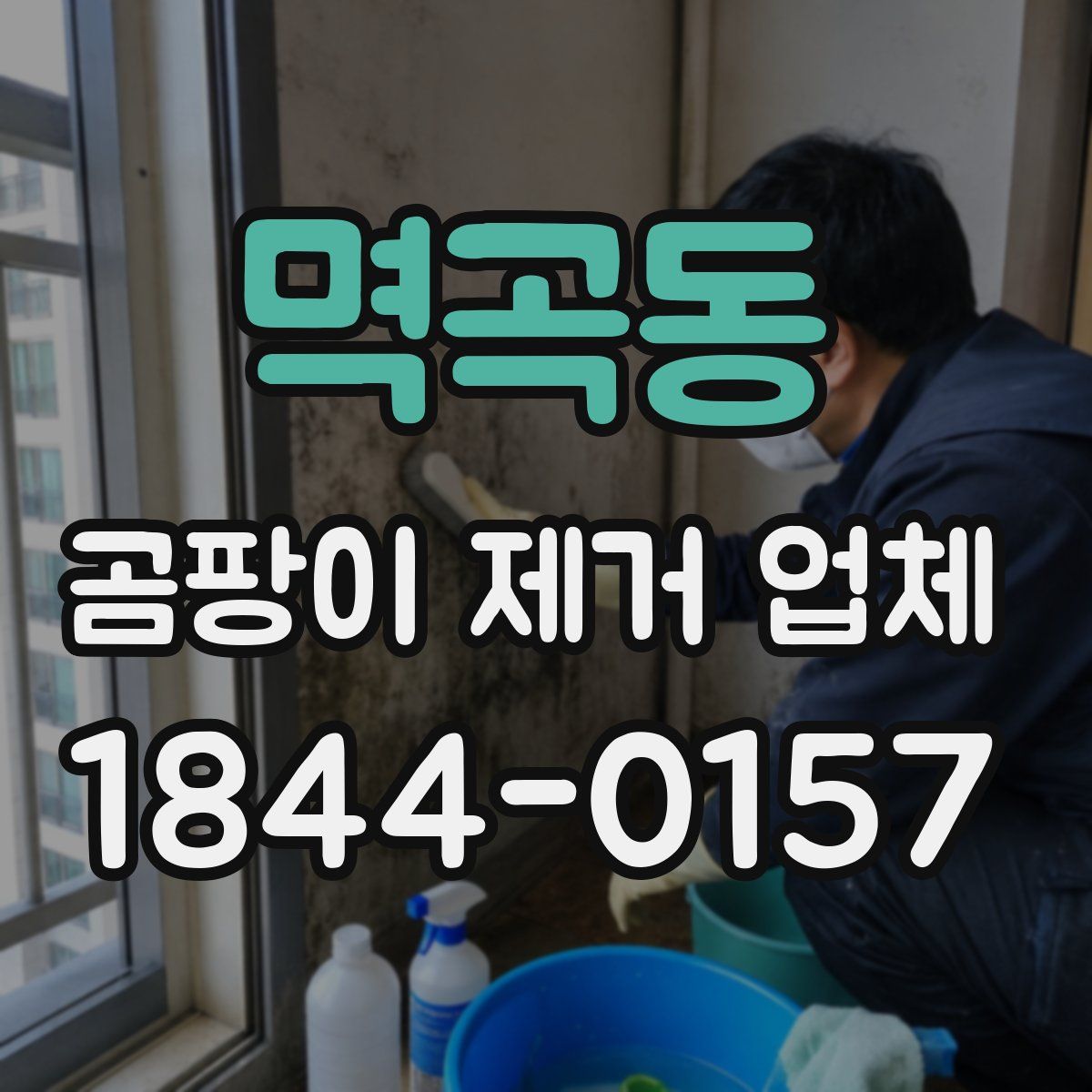멱곡동 곰팡이 제거 업체