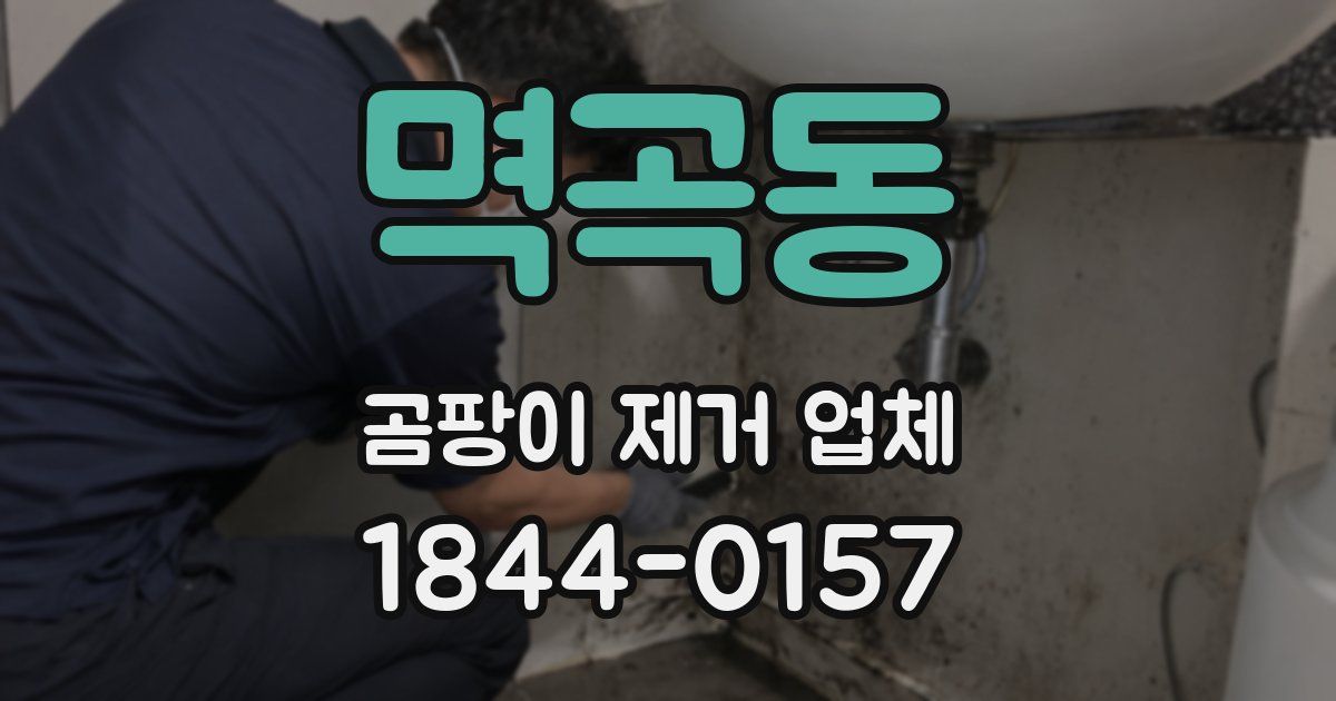 멱곡동 곰팡이 제거 업체