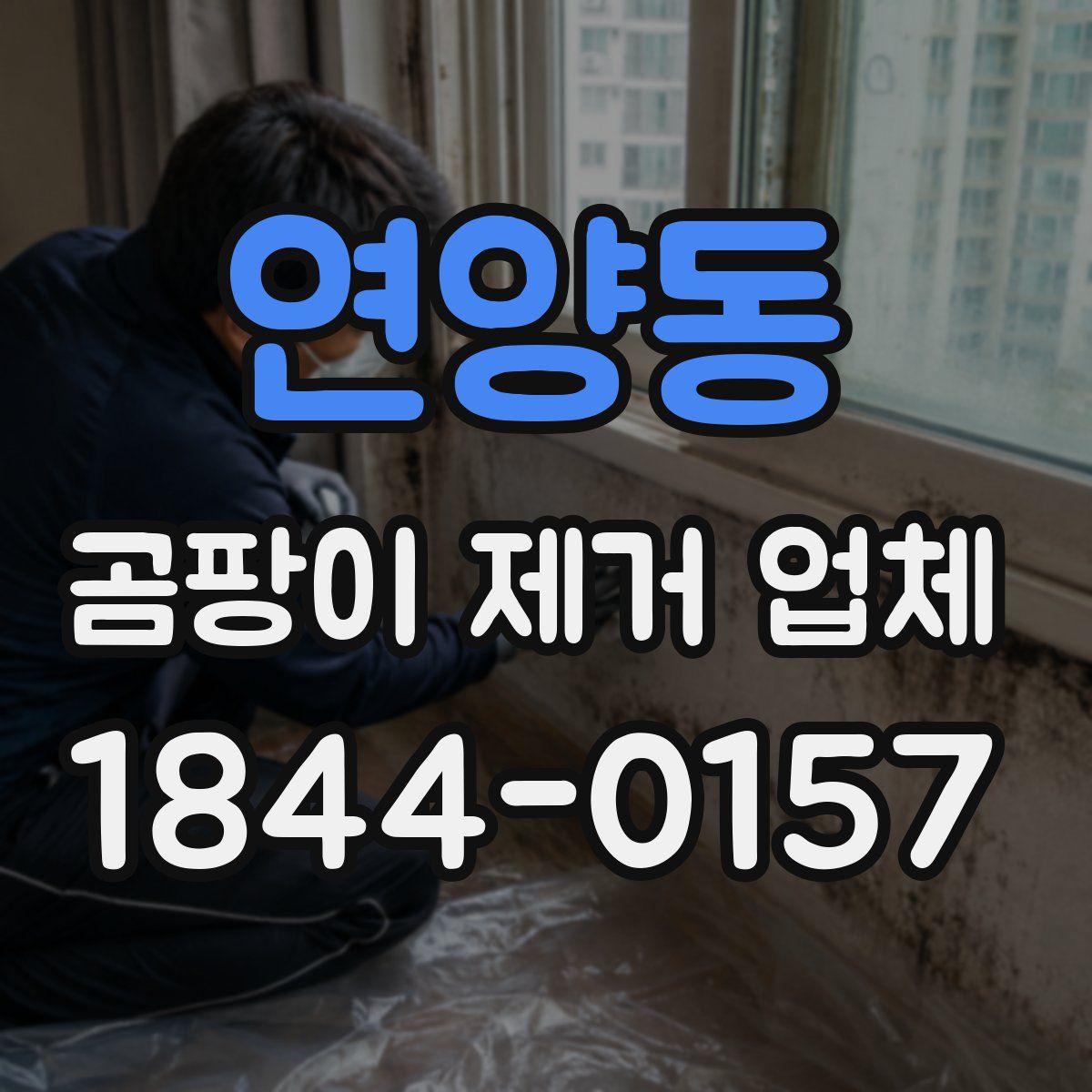 연양동 곰팡이 제거 업체