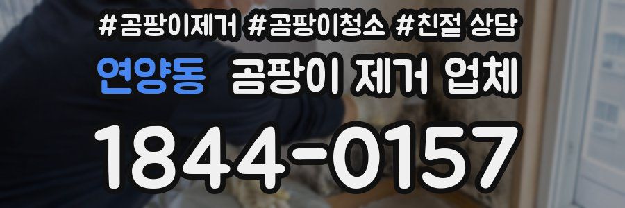 연양동 곰팡이 제거 업체