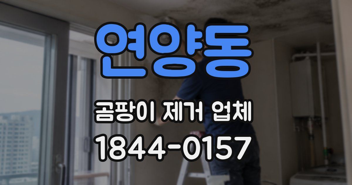 연양동 곰팡이 제거 업체
