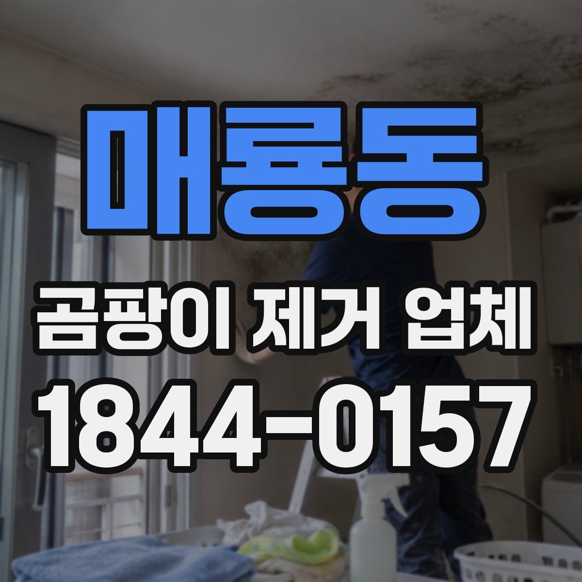 매룡동 곰팡이 제거 업체