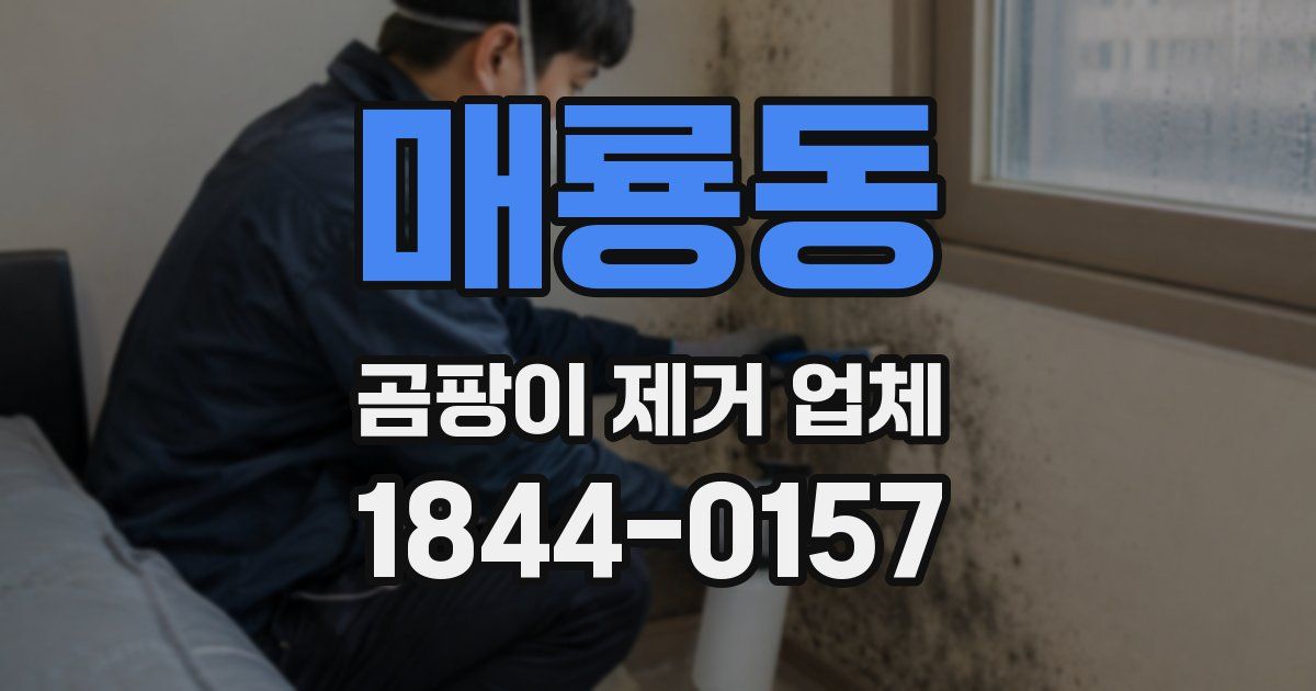 매룡동 곰팡이 제거 업체
