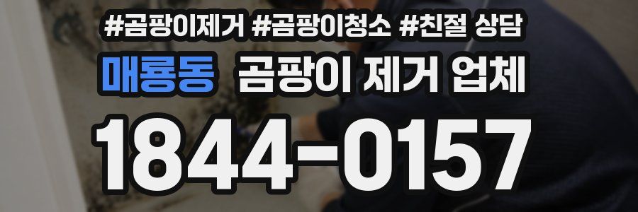 매룡동 곰팡이 제거 업체