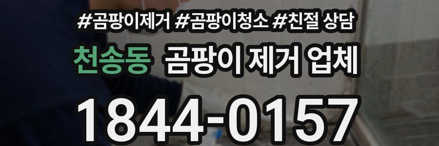 천송동 곰팡이 제거 업체