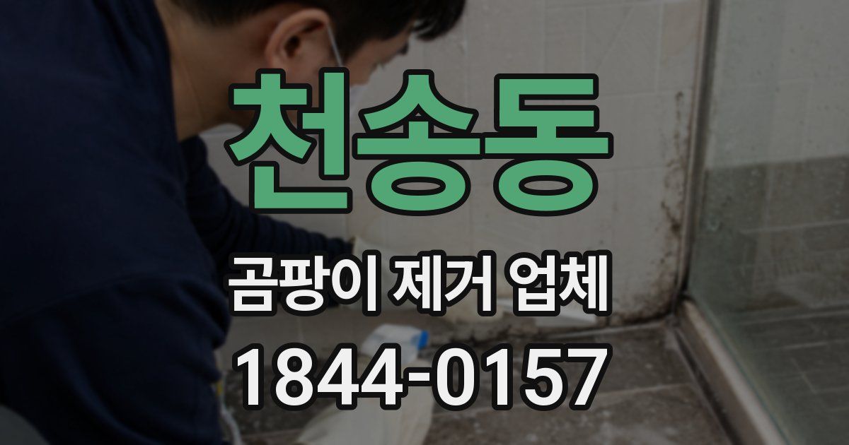 천송동 곰팡이 제거 업체