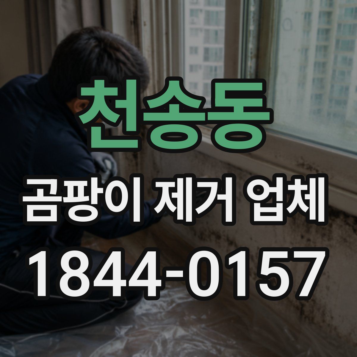 천송동 곰팡이 제거 업체