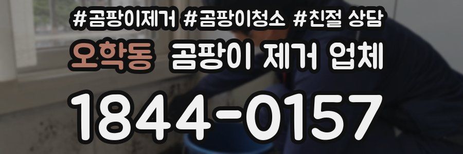 오학동 곰팡이 제거 업체