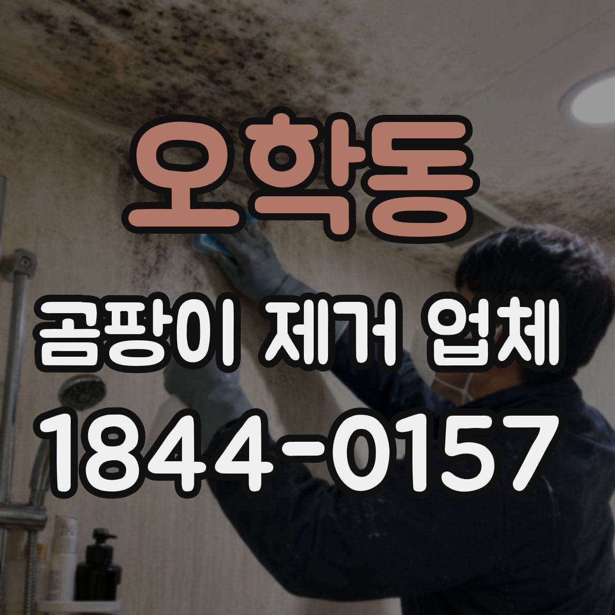 오학동 곰팡이 제거 업체