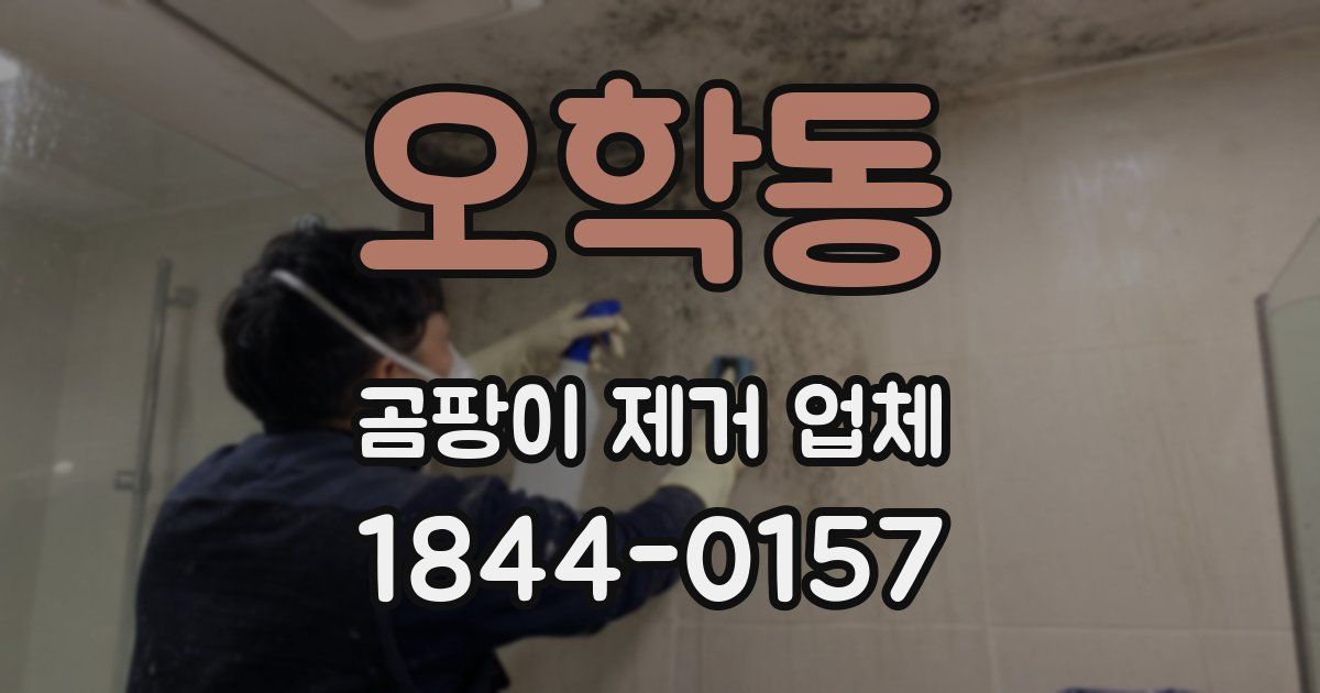 오학동 곰팡이 제거 업체