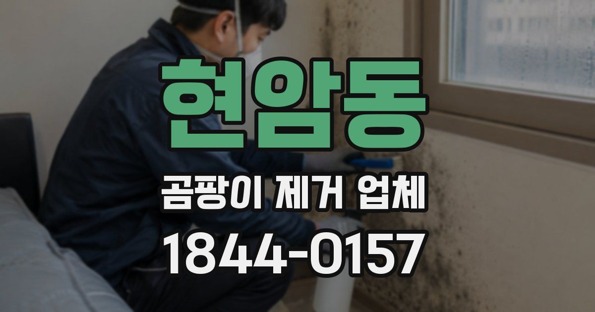 현암동 곰팡이 제거 업체
