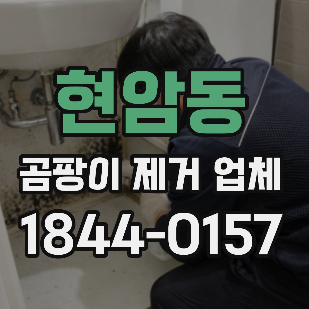 현암동 곰팡이 제거 업체