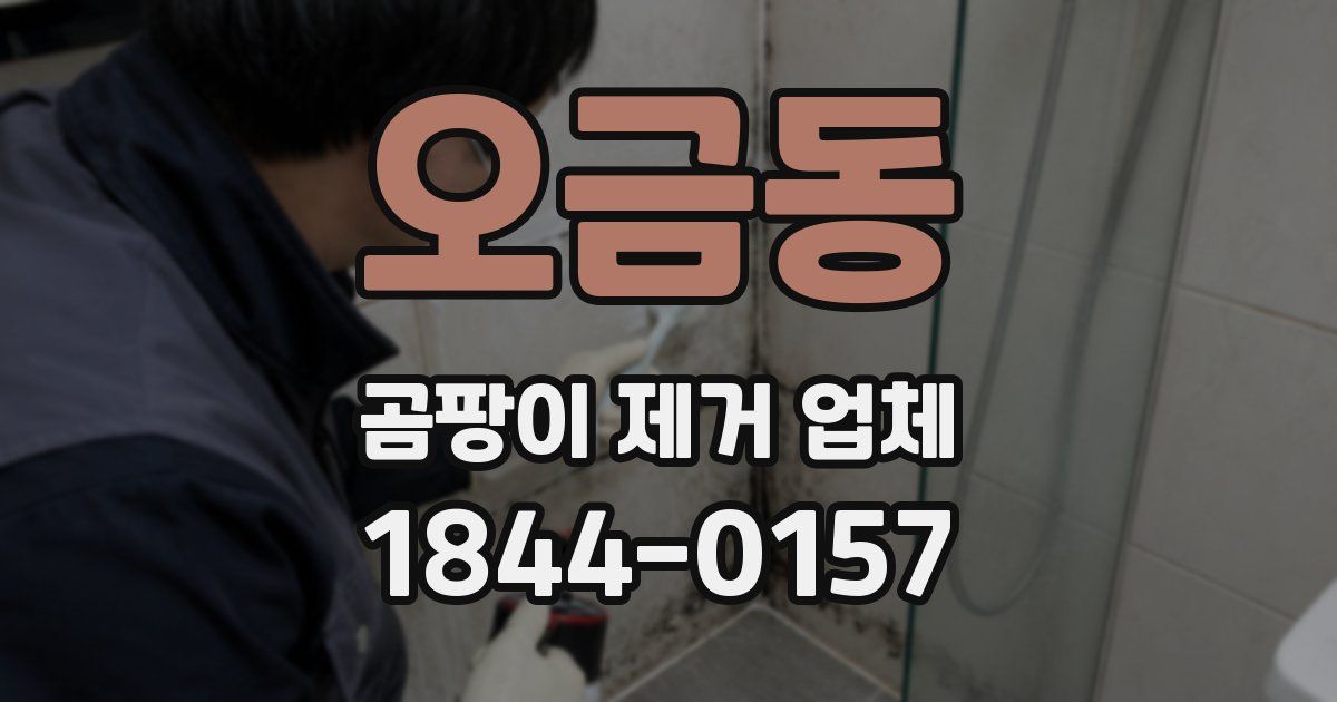 오금동 곰팡이 제거 업체