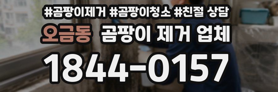 오금동 곰팡이 제거 업체