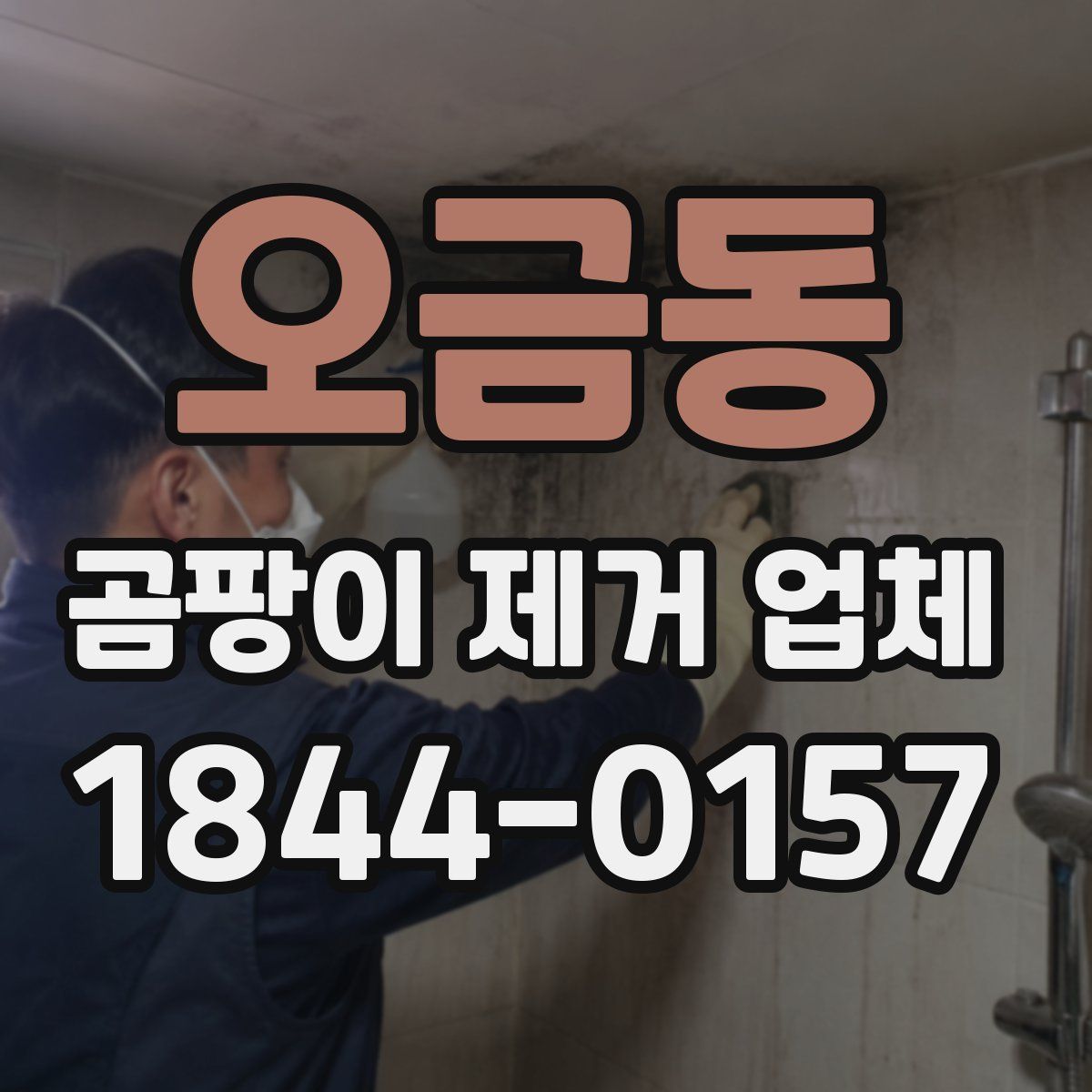 오금동 곰팡이 제거 업체