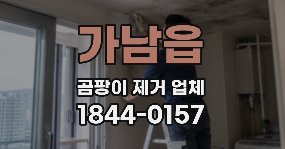 가남읍 곰팡이 제거 업체