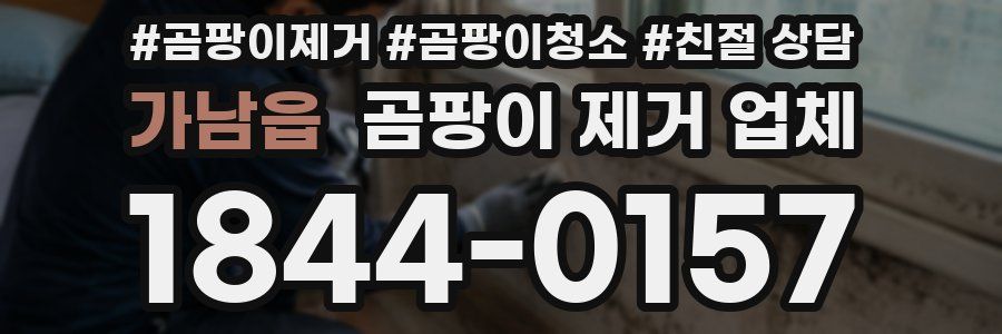 가남읍 곰팡이 제거 업체