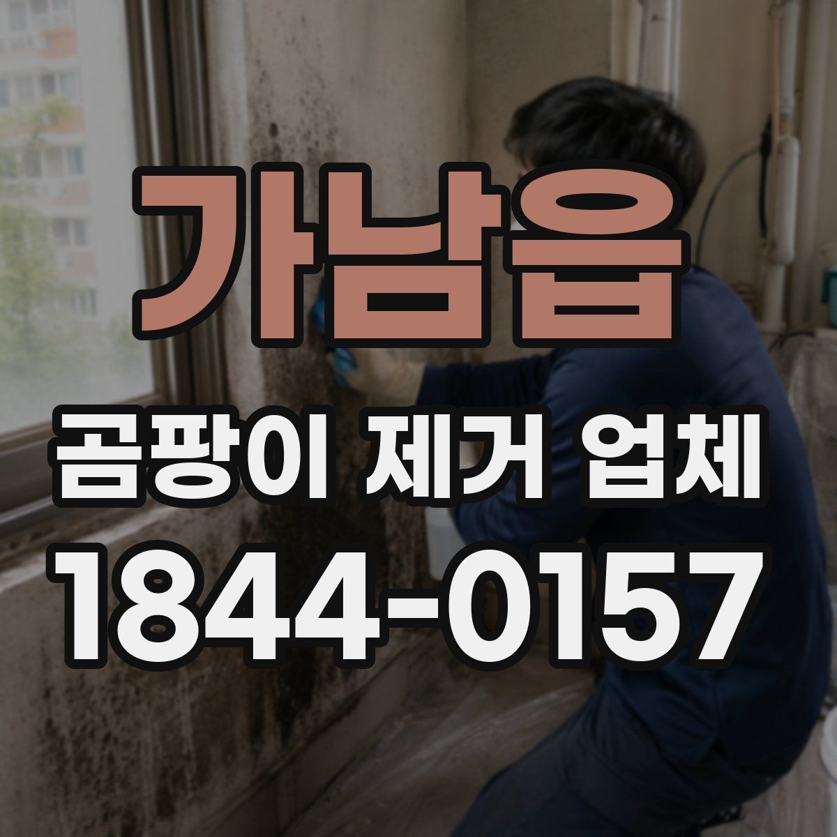 가남읍 곰팡이 제거 업체