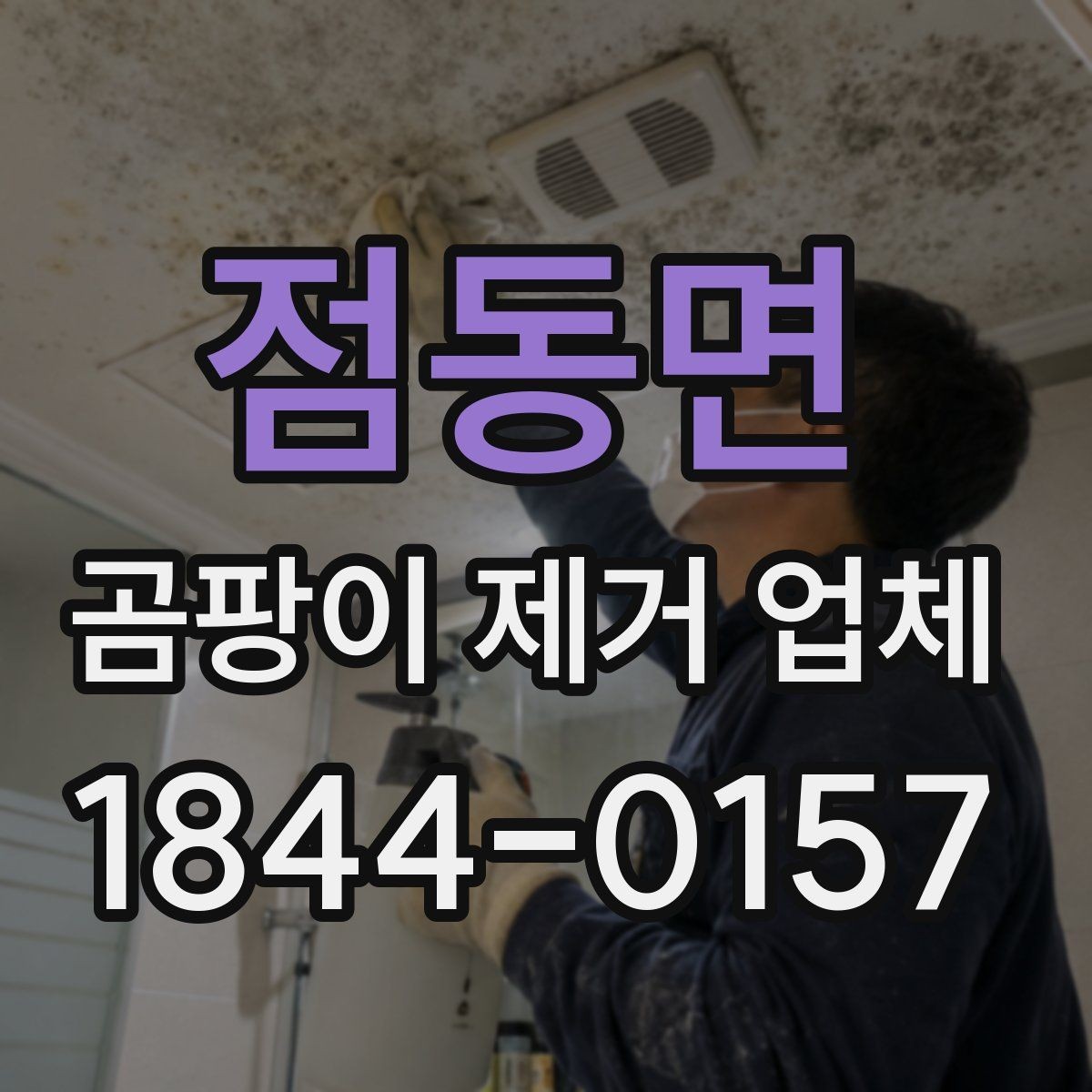 점동면 곰팡이 제거 업체 상담 전에 알아둘 사항