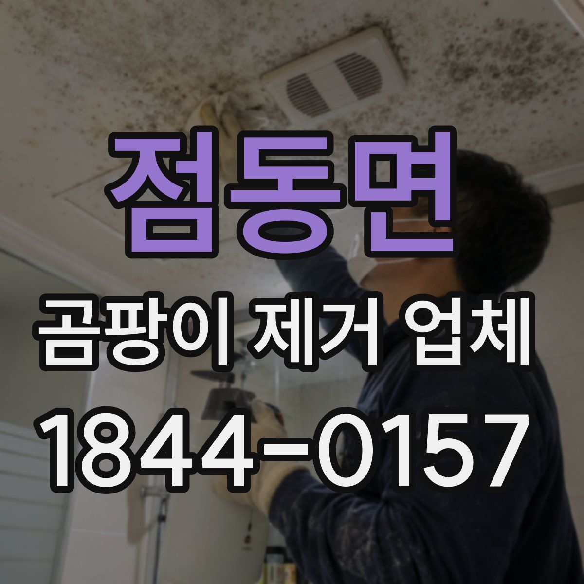 점동면 곰팡이 제거 업체