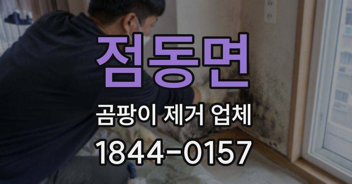 점동면 곰팡이 제거 업체