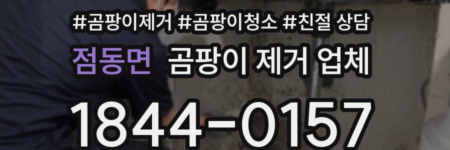 점동면 곰팡이 제거 업체