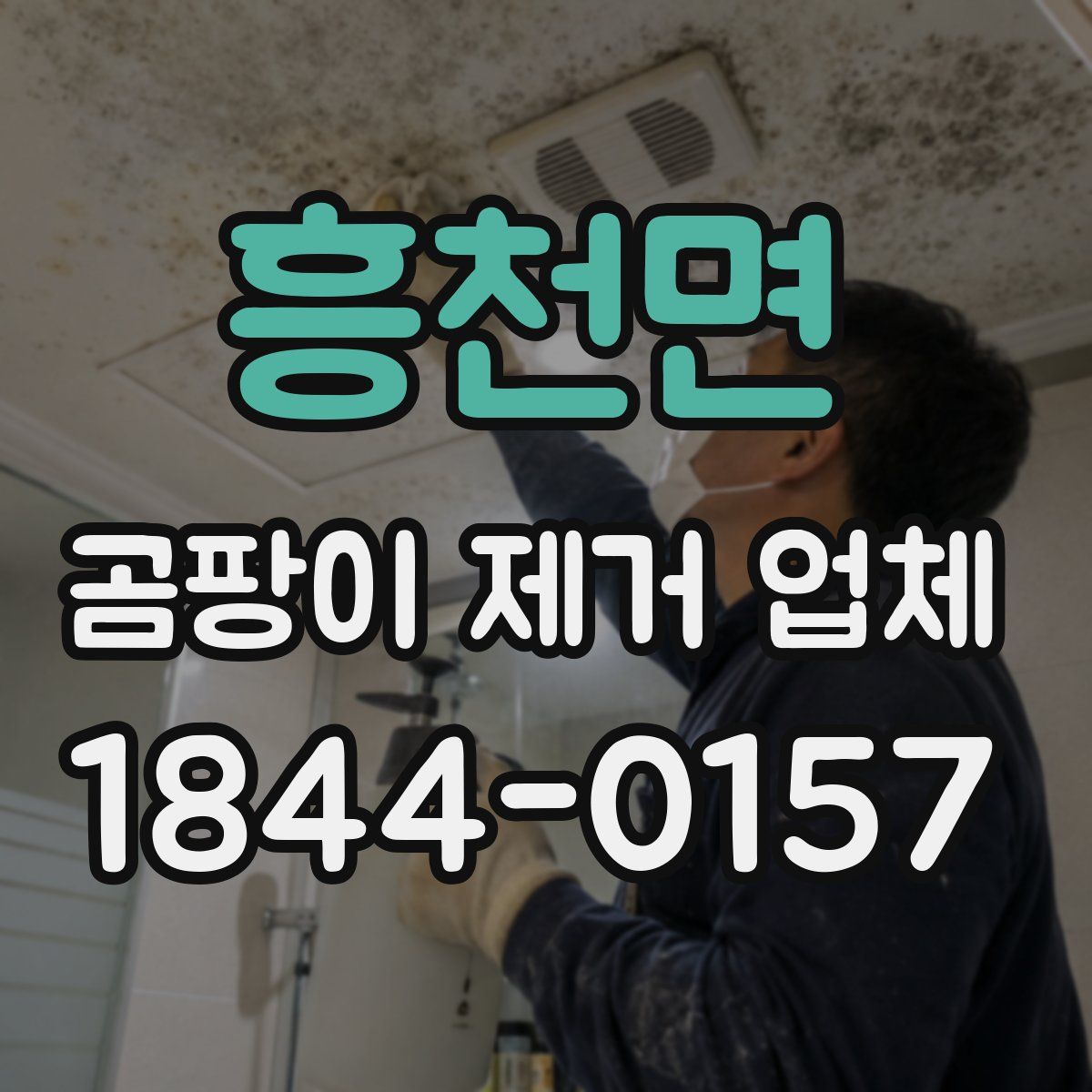흥천면 곰팡이 제거 업체