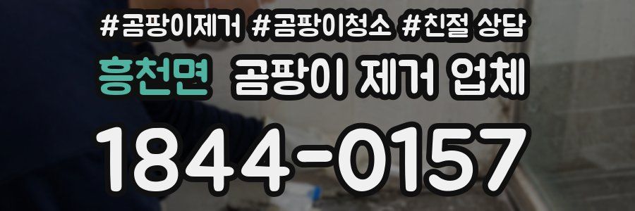흥천면 곰팡이 제거 업체