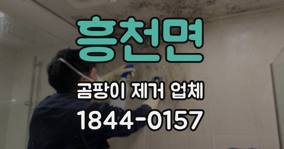 흥천면 곰팡이 제거 업체