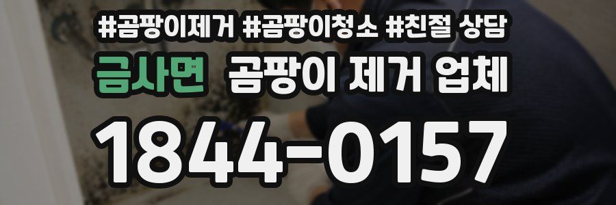 금사면 곰팡이 제거 업체