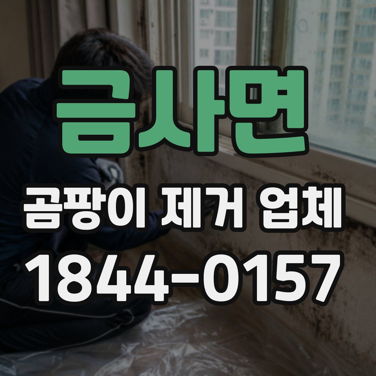 금사면 곰팡이 제거 업체