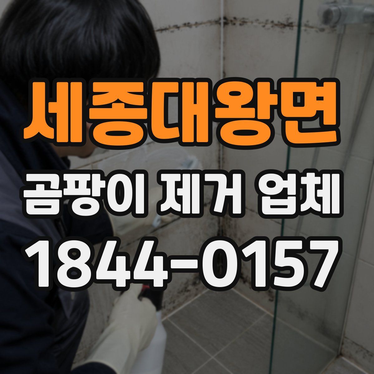 세종대왕면 곰팡이 제거 업체