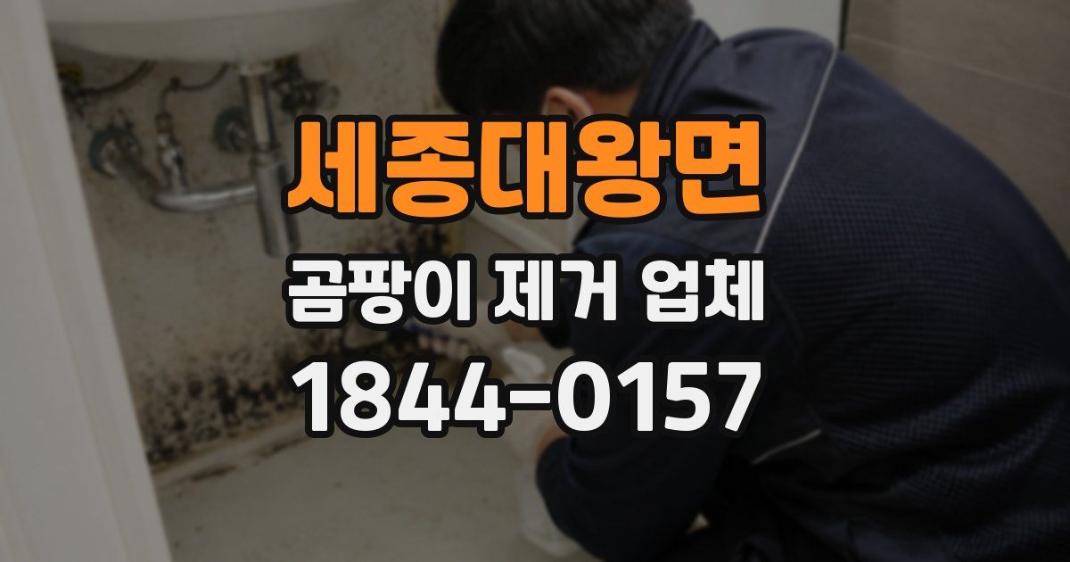 세종대왕면 곰팡이 제거 업체