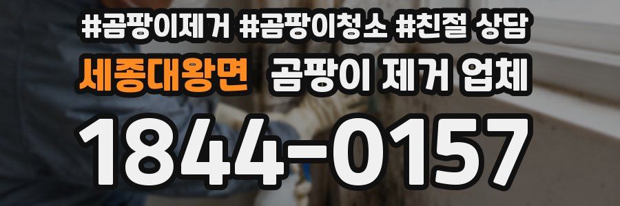 세종대왕면 곰팡이 제거 업체