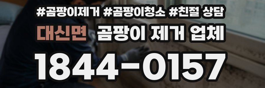 대신면 곰팡이 제거 업체