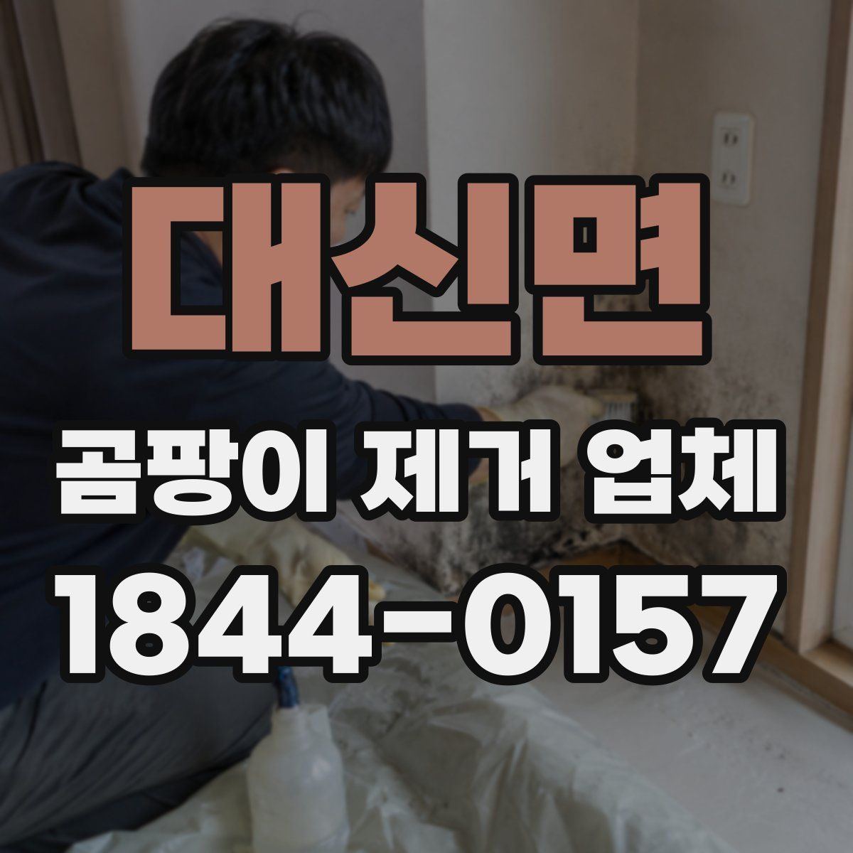 대신면 곰팡이 제거 업체