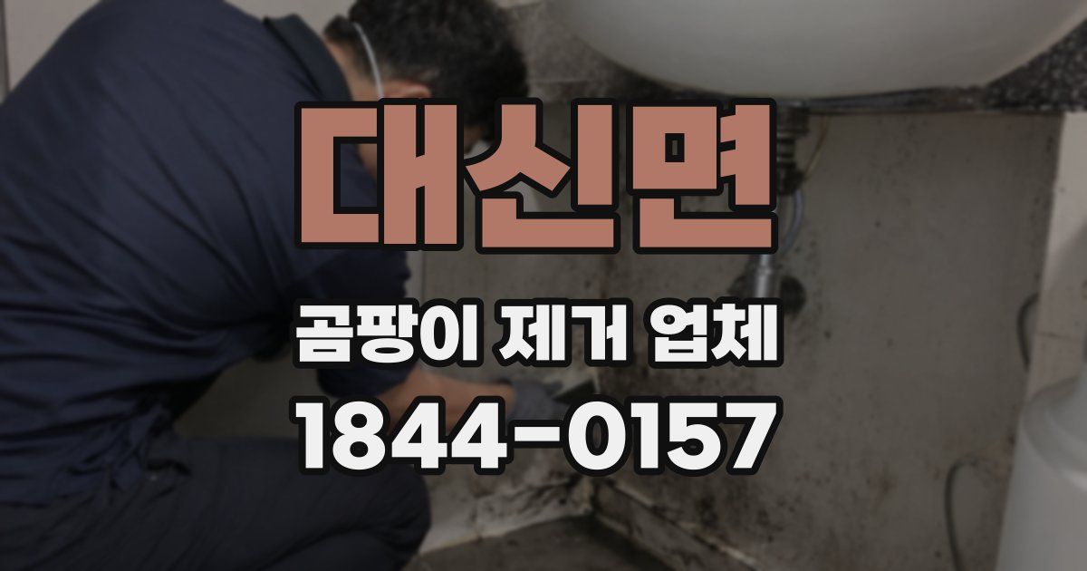 대신면 곰팡이 제거 업체