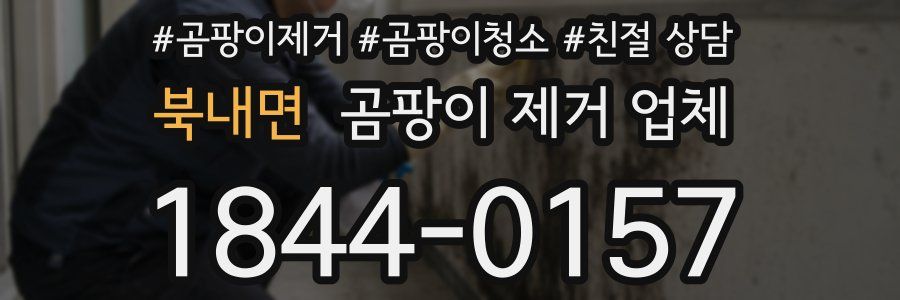 북내면 곰팡이 제거 업체