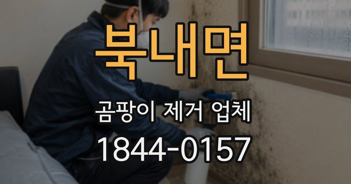 북내면 곰팡이 제거 업체