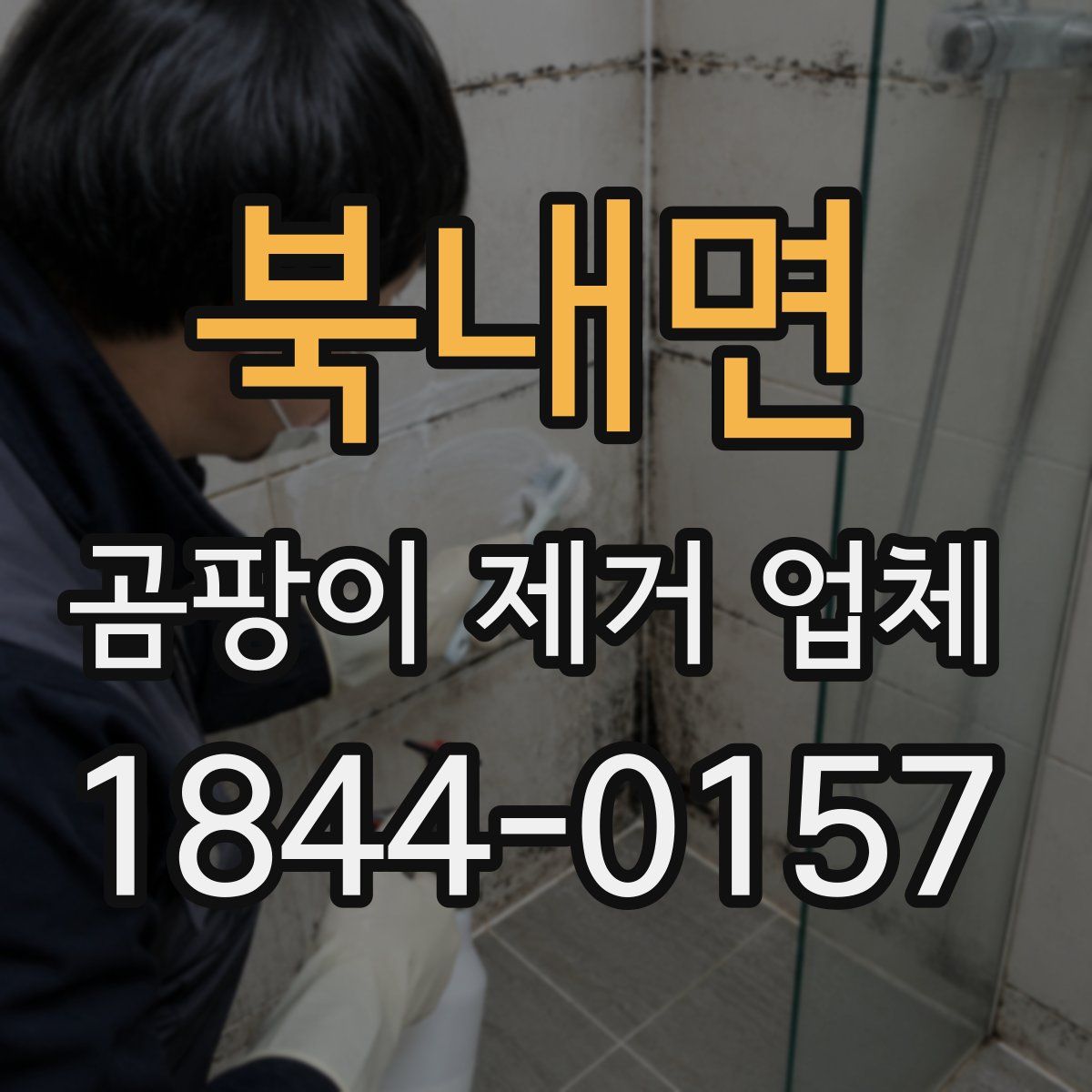 북내면 곰팡이 제거 업체