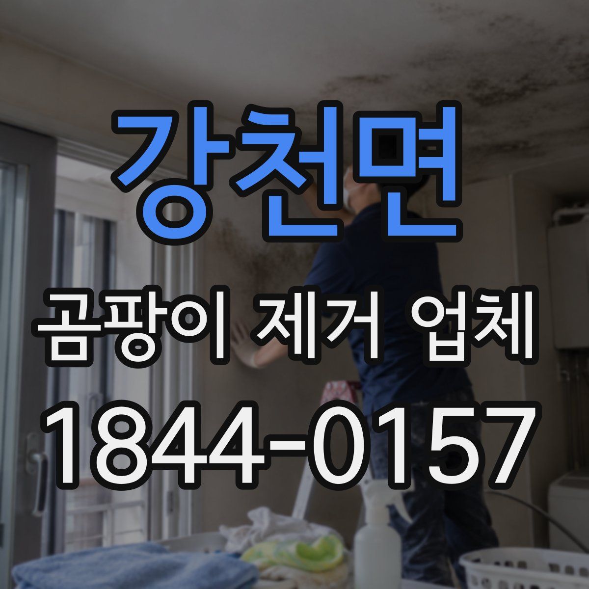 강천면 곰팡이 제거 업체