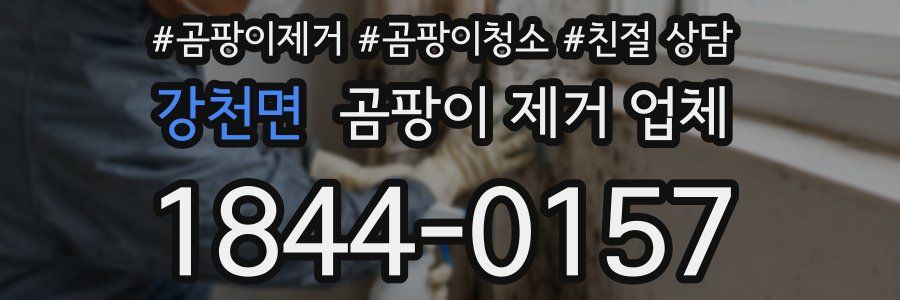 강천면 곰팡이 제거 업체