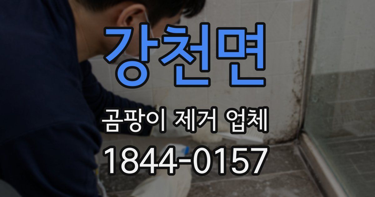 강천면 곰팡이 제거 업체
