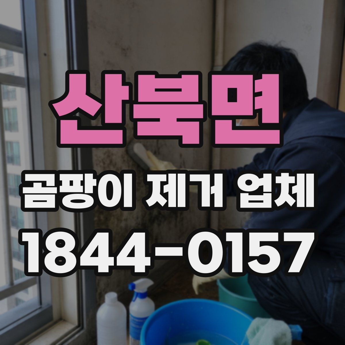 산북면 곰팡이 제거 업체
