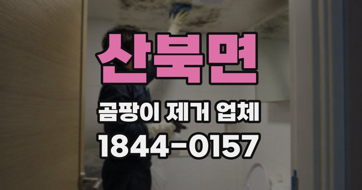 산북면 곰팡이 제거 업체