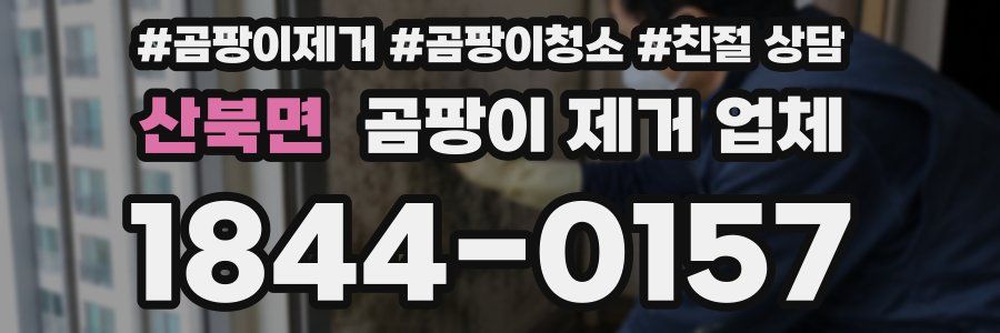 산북면 곰팡이 제거 업체