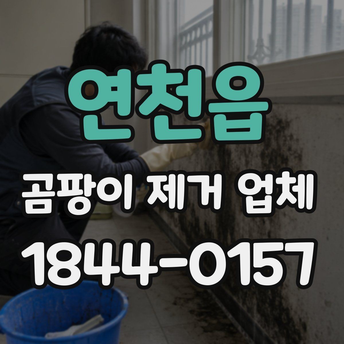 연천읍 곰팡이 제거 업체 작업 전에 알아야 할 준비와 주의점