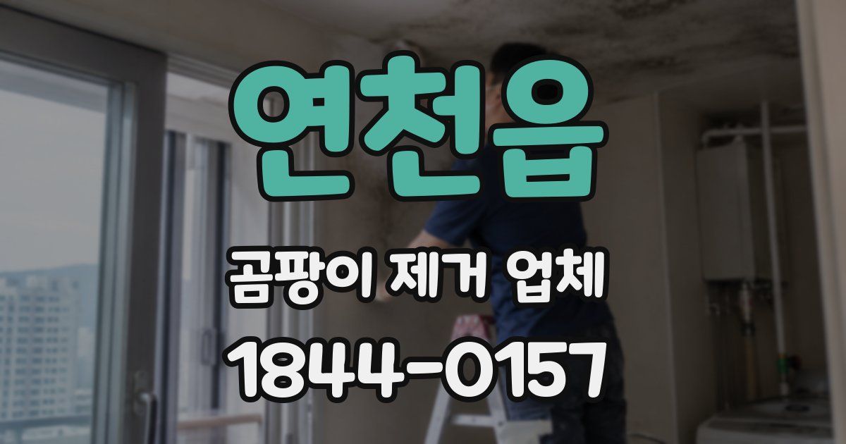 연천읍 곰팡이 제거 업체