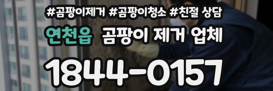 연천읍 곰팡이 제거 업체