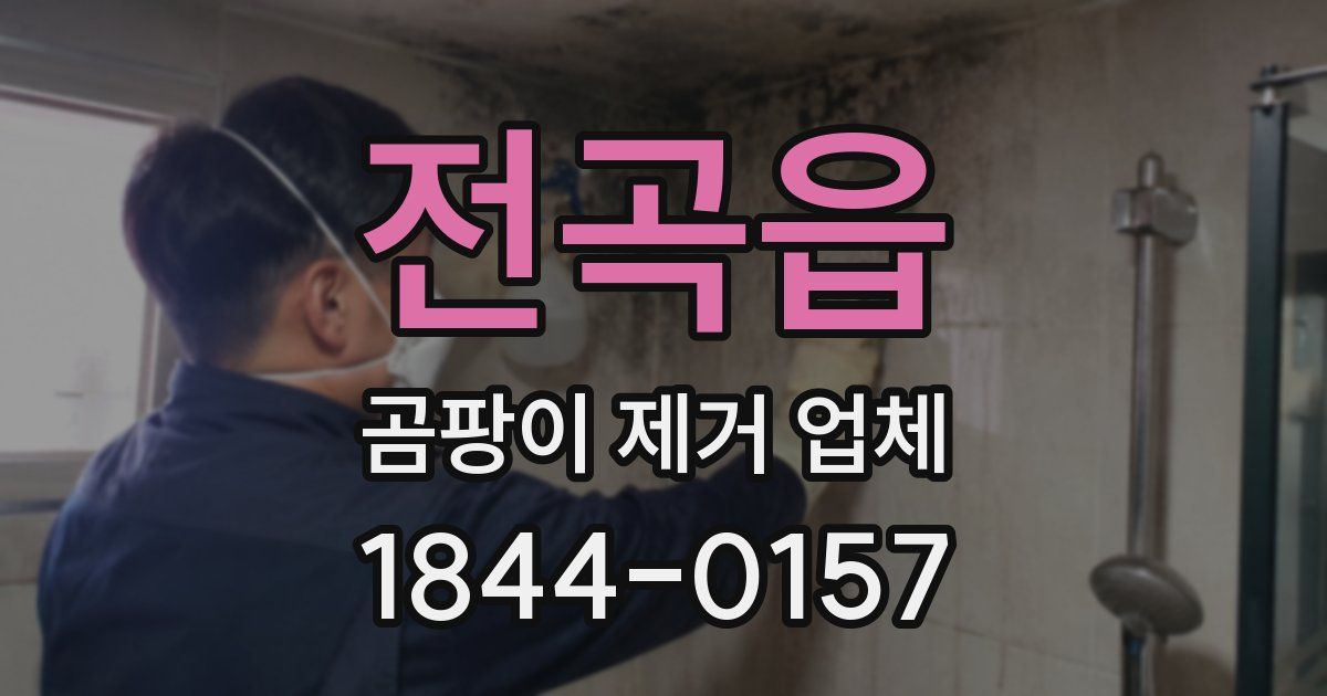 전곡읍 곰팡이 제거 업체